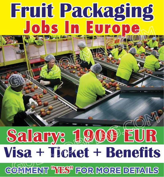 Packer Jobs in Europe 2023-24