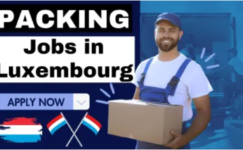 Packaging Jobs in Luxembourg 2024-25
