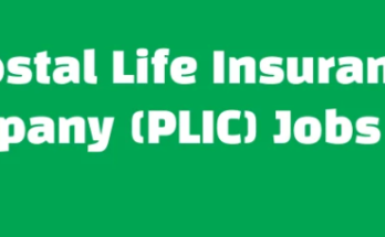 Job in Insurance Company for Manager 2024-2025